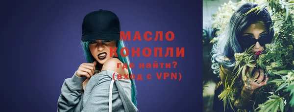 индика Верхний Тагил