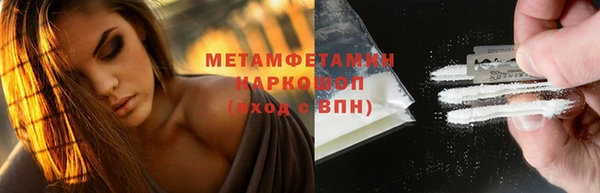 индика Верхний Тагил