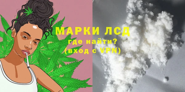 индика Верхний Тагил