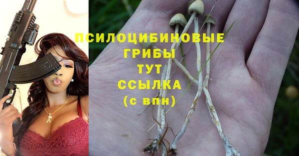 герыч Верея