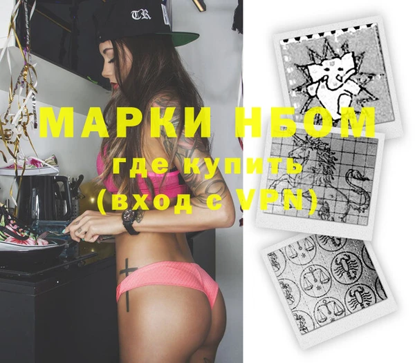 индика Верхний Тагил
